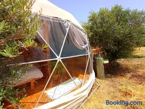 Olive Dome 2 - כיפה גיאודזית קטנה ומודרנית בין עצי הזית - Image 4
