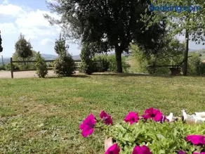 Agriturismo Podere Selvette - Image 2