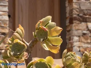 Villa Dilion - Luxury Villa in Antiparos - Image 4