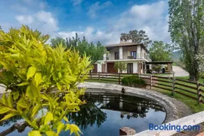 Villa Gli Eucalipti - Image 3