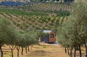 Refugio do Olival by Tiny Away - Image 1