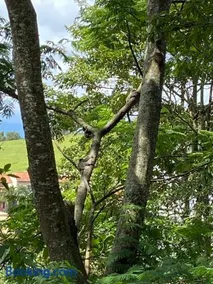 Chácara Recanto do Sagui - Image 2