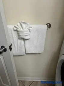 Pet-Friendly SW Home, 13 Mins to Mizzou - Image 3