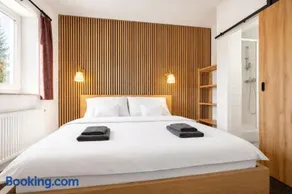 Forest House near Klínovec with 5 Independent Apartments - Image 2