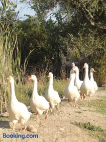 Aroggia Farm - Image 1