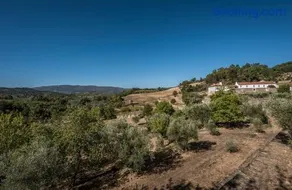 Casa do Olival - Image 4