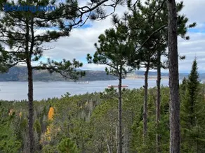Yourte Forêt des Murmures - Image 1