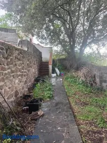 i giardini di Ailobran - Image 3