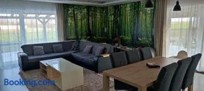 Family House - Image 5