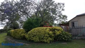 Frogmouth Farm - Image 5