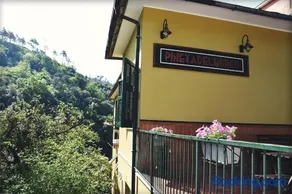 Pineta del Borgo - Image 2