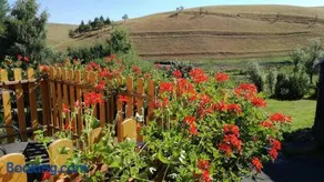 Holiday Home Moldava - Image 2