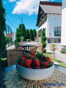 Pensiunea Casa Andreea - Bârsana Maramureș - Image 1