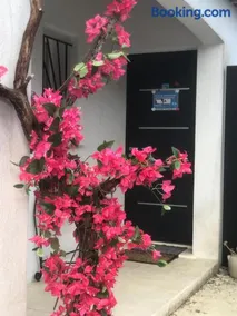Agréable T2 au calme avec jacuzzi et jardin - Image 2