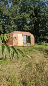 Cabin Primrose - Image 1