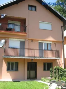Joca - Image 4