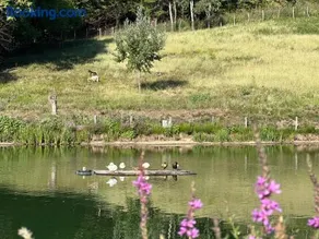 Peaceful Lake House - Image 3