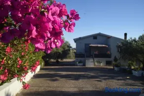 Ficodindia home - Image 3