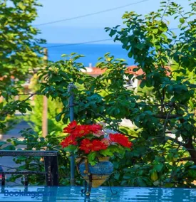 Johnie's Villa - Image 2