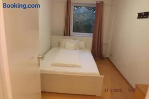 GME Easyflex Home-1 - Image 3