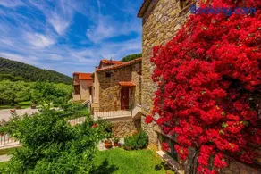 Mediterraneo Luxury Suites Halkidiki - Image 4