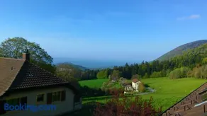 La Petite Fleur - Image 1