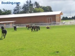 Farm vacation with wellness and horses - Image 3