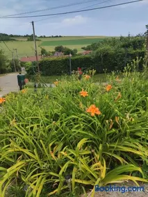 Gîte pres de Giverny - Image 2