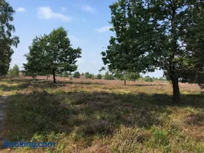 Ferienhof Timmerloher Heide - Image 3