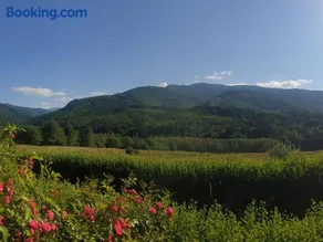 Valea Doamnei - Image 4