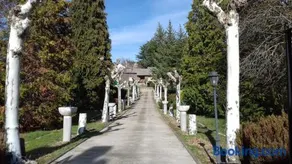 El Pinar de la Puebla de Sanabria - Image 4