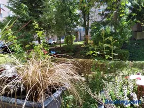 Apartament Skrytka - Image 2