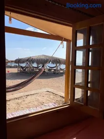 Alwaha Camp - Image 5