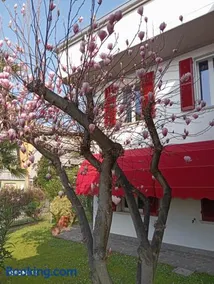 BF SUITE Foresteria Bellusci - Image 1