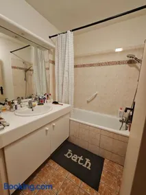 Spacious Family Flat Near Paris - Image 1
