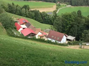 Haflingerhof Luef - Image 2