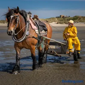 Zee-van-Tijd - Image 3