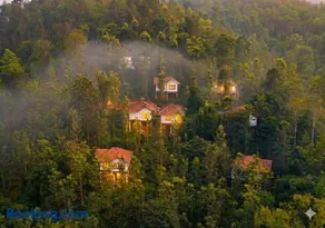 Peter's Coffee Creek Wayanad Pool Resort - Image 1