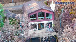324 Brian Drive: The Swirling Bird - Image 4
