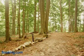 Wilderness Vista Retreat - Image 5
