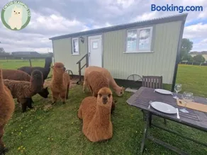 Cwtch Glamping Shepherds Huts - Image 2