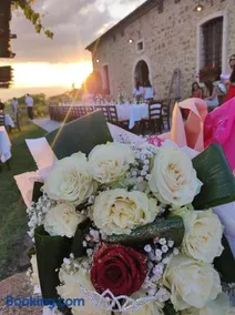 Agriturismo Torre Gialluise - Image 5