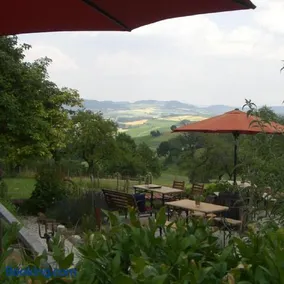 Alpaka-Ferien - Image 4