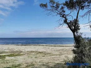 marina di bravone - corse - linguizzetta - Image 2
