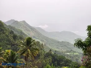 SenSac Paithalthattu Homestay - Image 3