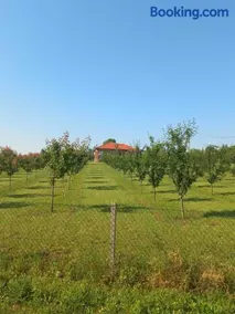 Villa Sladjana - Image 2