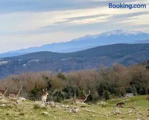 Bergerie du Salbadou - Image 5