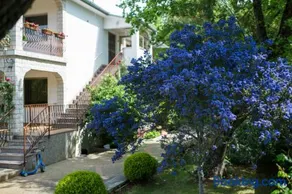 Apartment Dani - Image 5