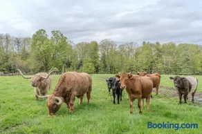 Family Friendly Highland Cattle Farm with Panoramic Views - A - Image 1