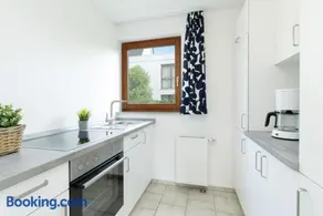 Kliffsegler - Image 4